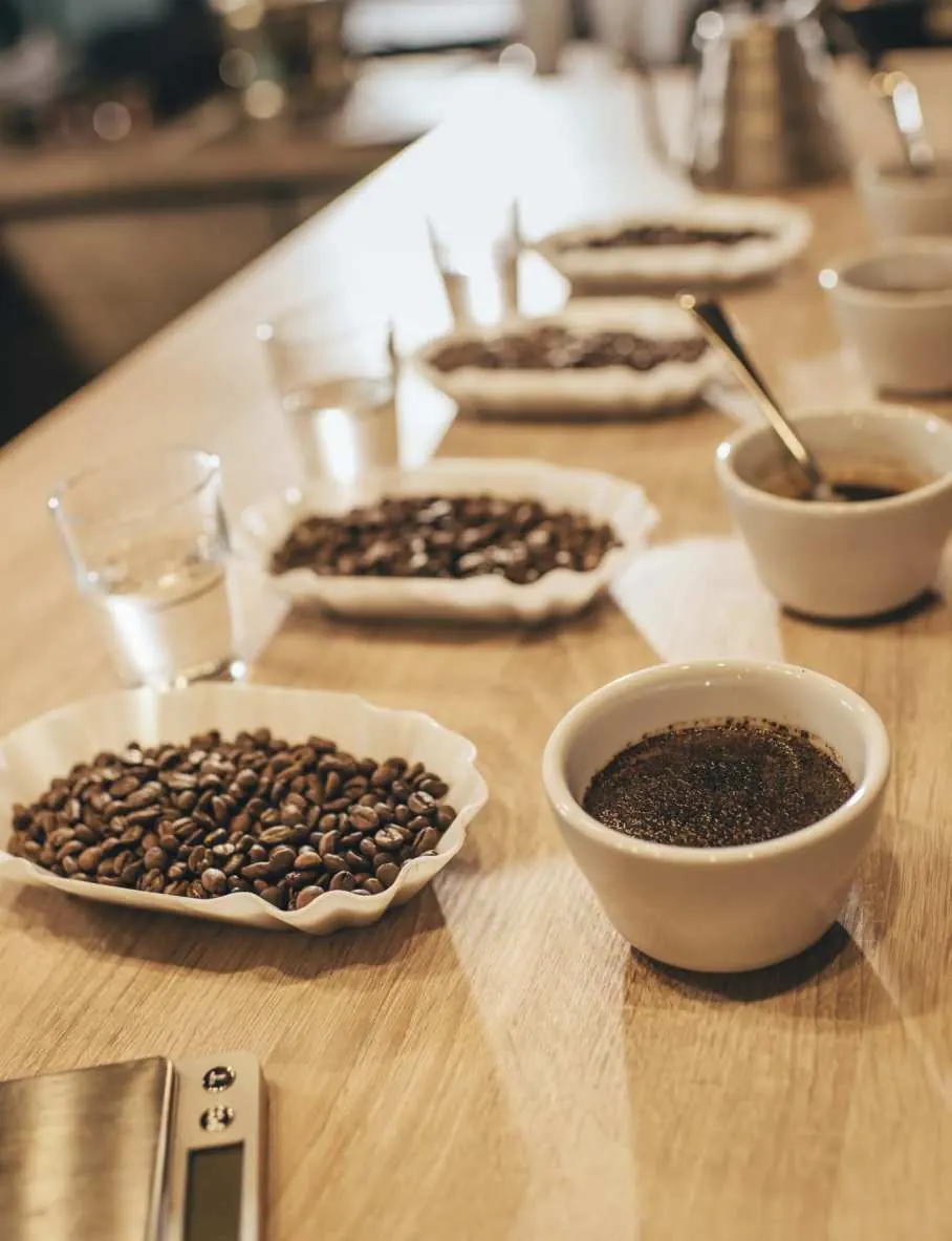 Barista-Schulung beim Kaffee-Partner