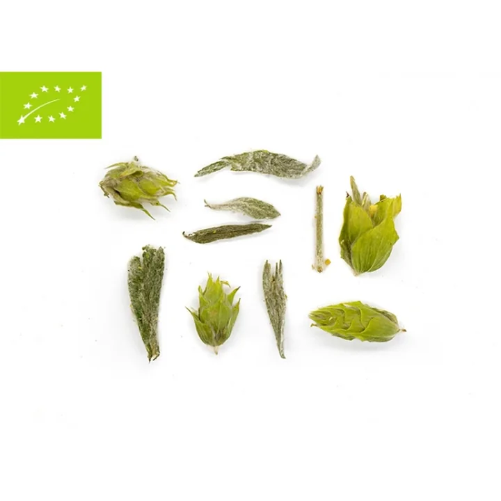 Tea Route Ελληνικό Τσάι του Βουνού Βιολογικό