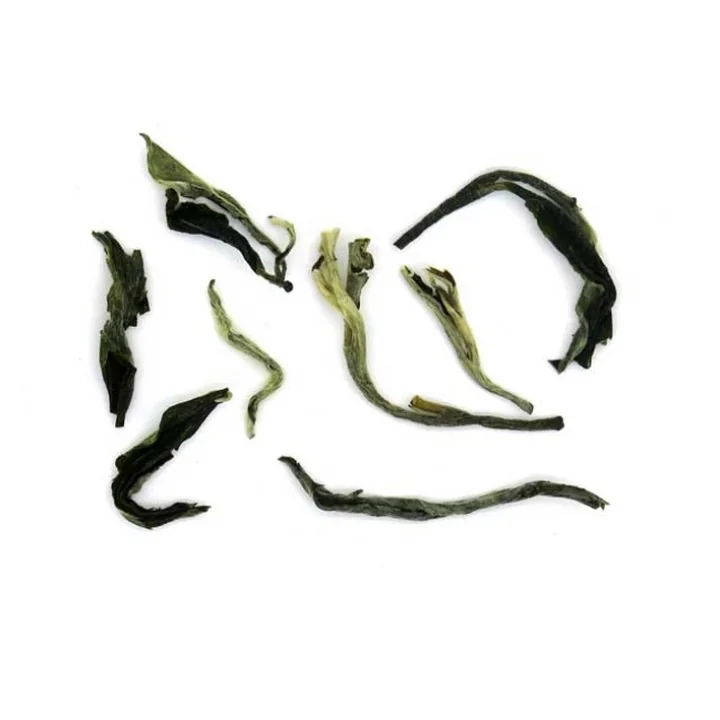 Tea Route Κλαδί από Ελεφαντόδοντο