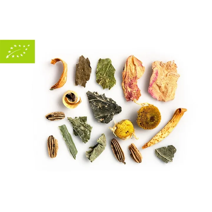 Tea Route Το Τραγούδι της Γης