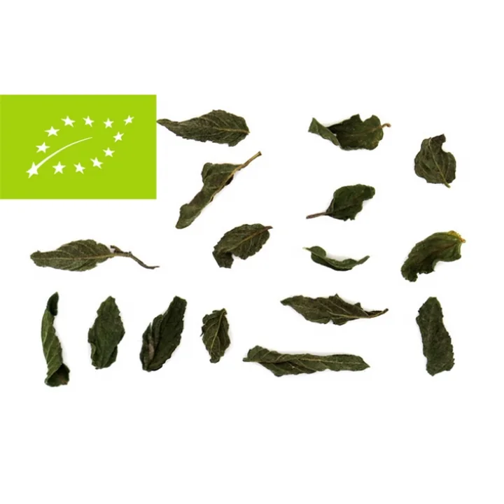 Tea Route Μέντα Βιολογική